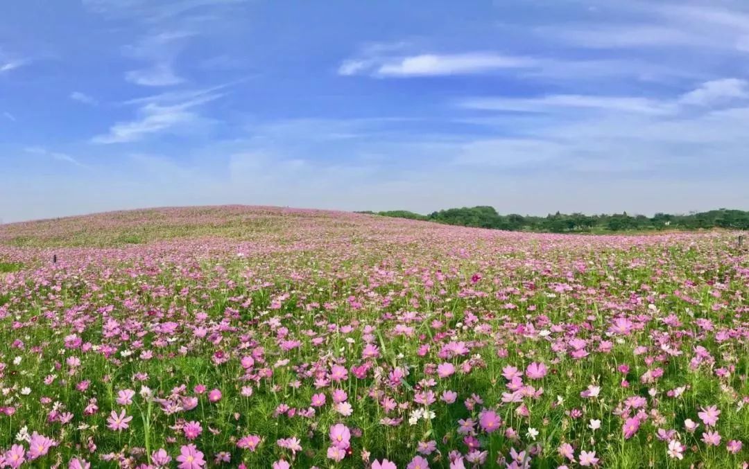 你还不知道乡村旅游吗,你还不知道哪些地方好玩