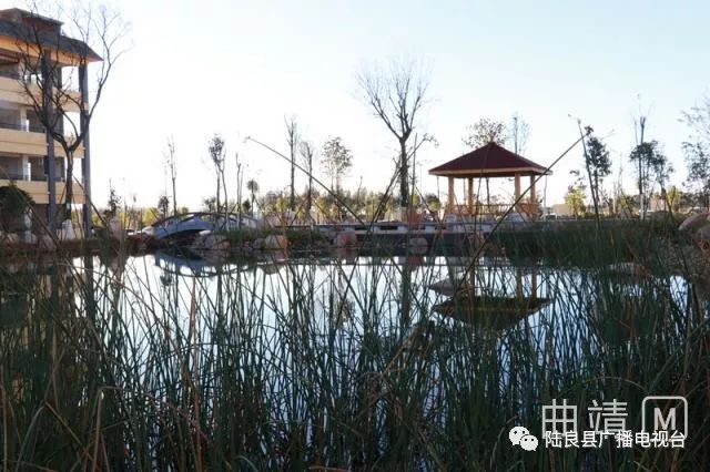 陆良一中景色照片,陆良一中校园风景