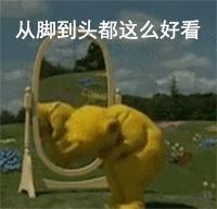 双十一之后我受到了买家秀的惊吓,买家秀笑出猪叫了