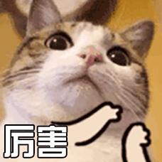 私护清洗液有什么用处,为什么我暂时不能使用内测功能