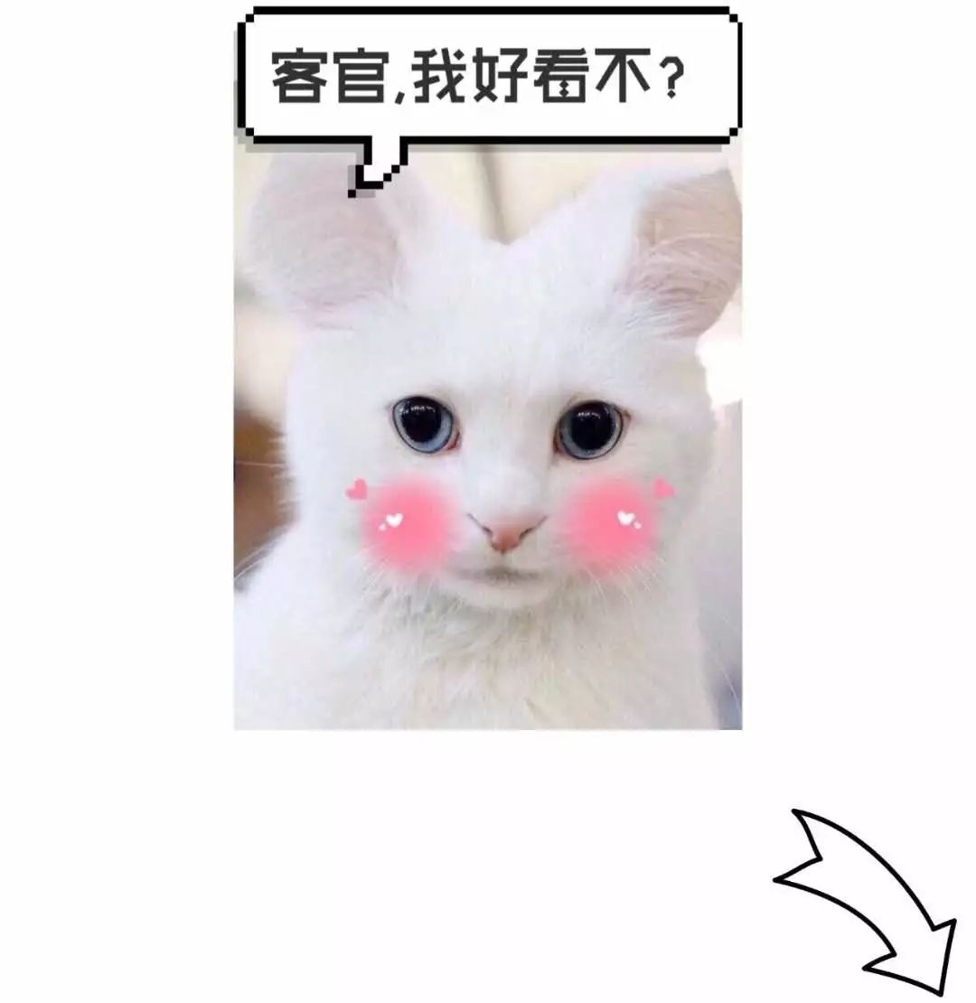 潍坊北站最新调整,潍坊北站最新位置