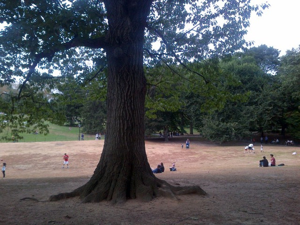 美国纽约自驾游路线,美国西部自驾游记2016版