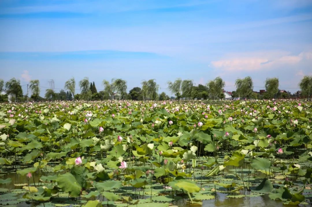 马鞍山当涂为什么富裕,马鞍山为什么越来越好