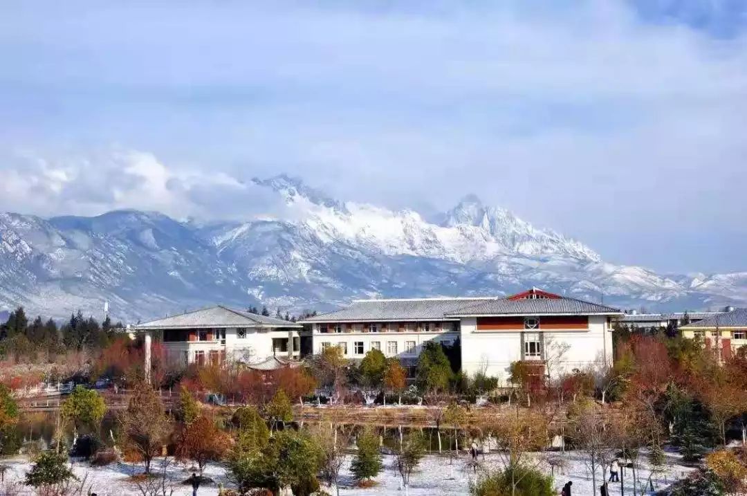 丽江在世界排名第一的大学,想想就激动
