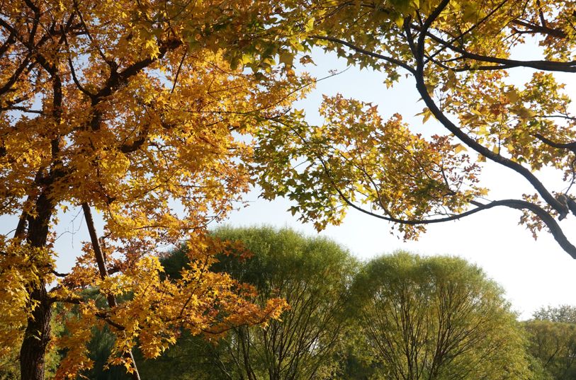 中国第一家宝格丽酒店,全球七家宝格丽酒店