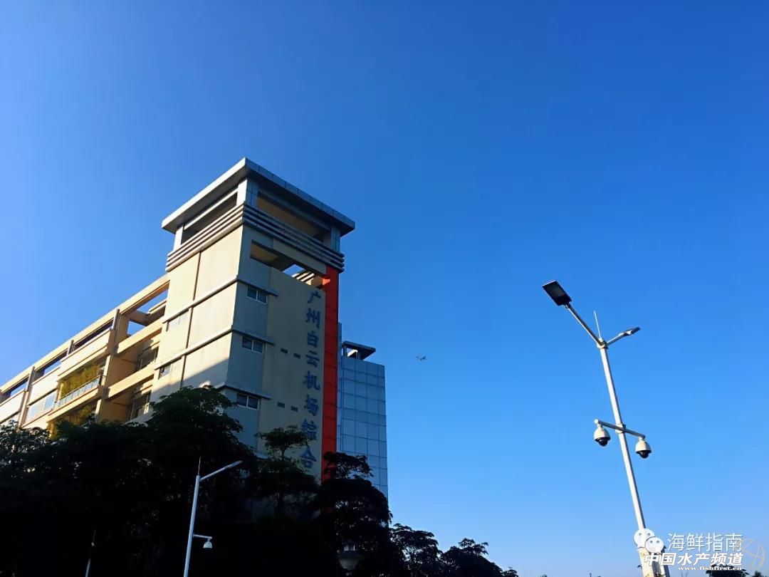 进口的三文鱼是新鲜的还是冷冻的,正宗挪威三文鱼购买渠道