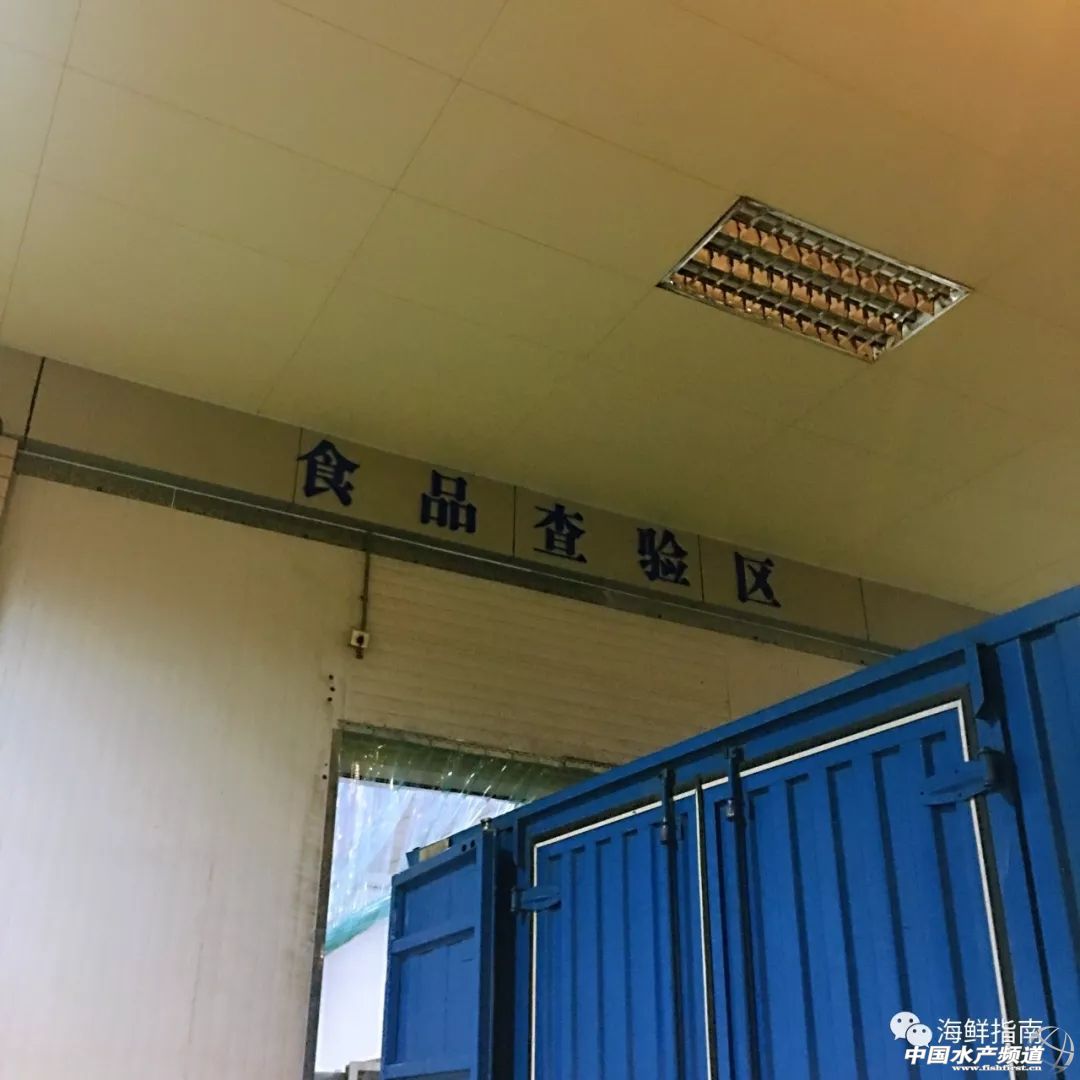 进口的三文鱼是新鲜的还是冷冻的,正宗挪威三文鱼购买渠道