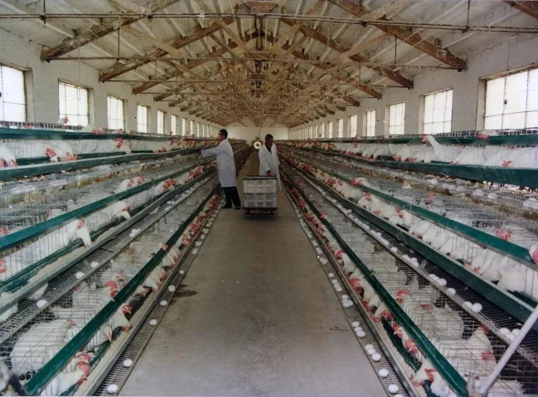 改革开放四十年监狱系统,监狱纪念改革40周年图片