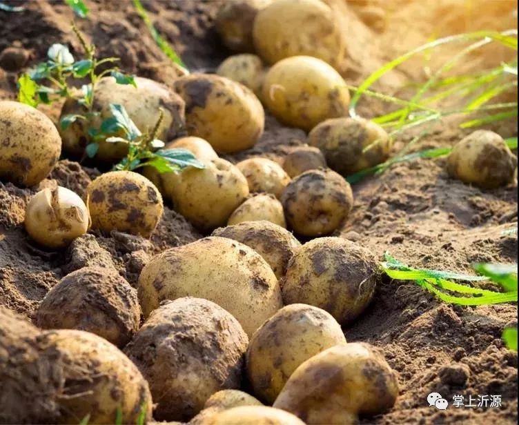 说改革开放,改革开放40年吃得好要珍惜