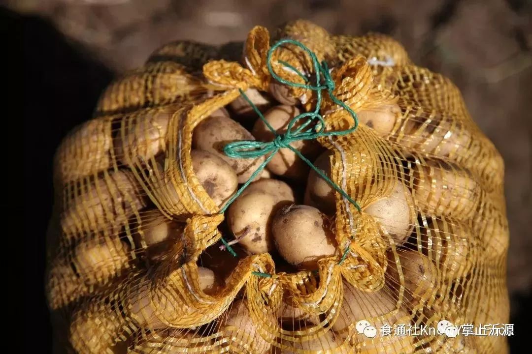 说改革开放,改革开放40年吃得好要珍惜