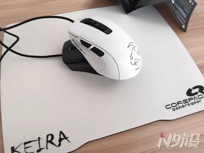 白冰豹子,黑冰和白冰视频