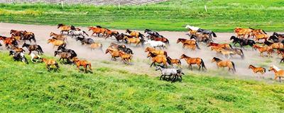 生态强市魅力承德,生态强市魅力承德是什么意思