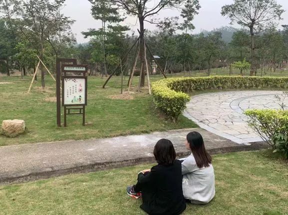 高明网红森林公园,佛山森林公园高明