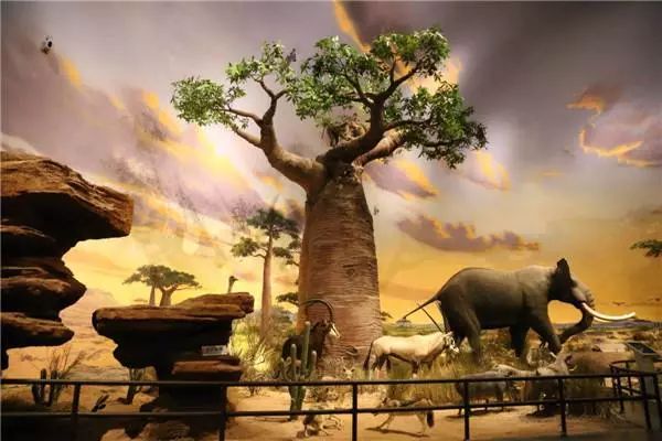 青岛温泉滑雪春节去哪玩,青岛冬季温泉旅游