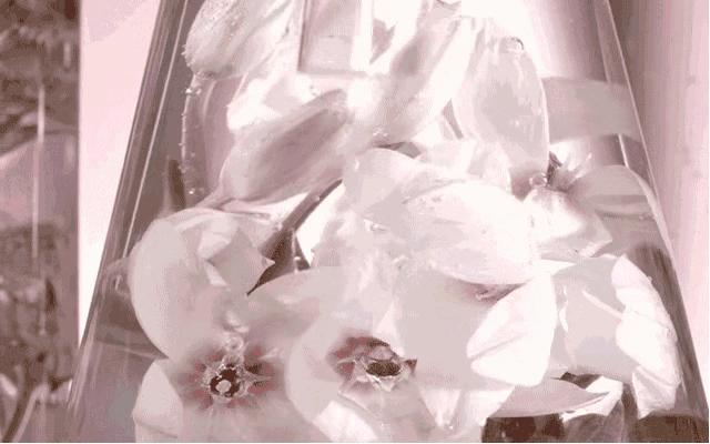 揭秘｜2018年最值得投资的美妆圈“新面孔”集中盘点（下）