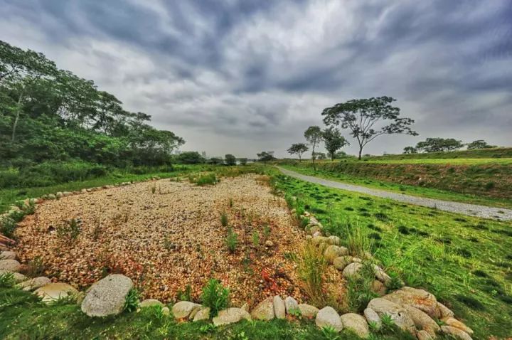 一些武汉的好消息,好消息湖北武汉