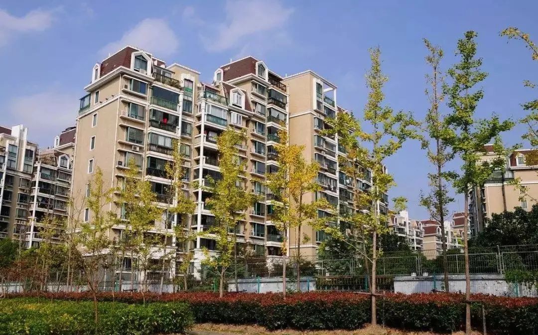 上海浦东2023年gdp增量,浦东gdp占比