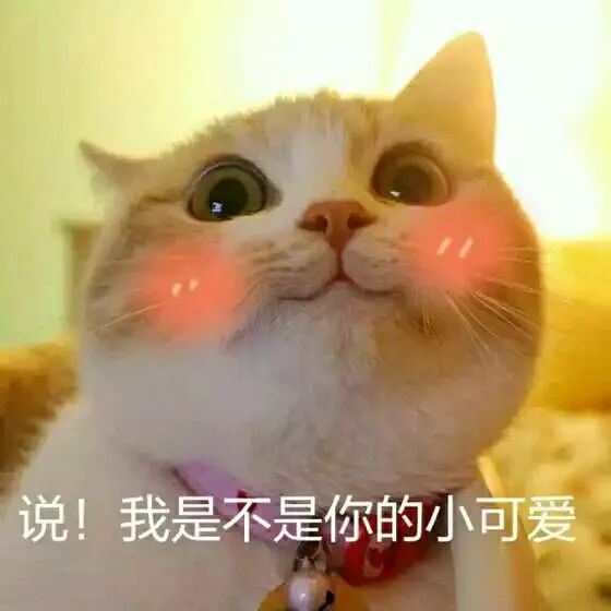 额前新长出的碎发怎么办,额前碎发长出来了