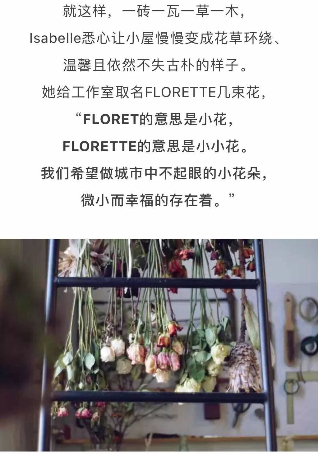 北京才女徐静蕾,徐静蕾李亚鹏北京台