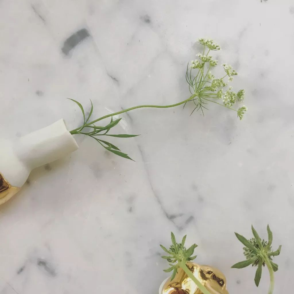 北京才女徐静蕾,徐静蕾李亚鹏北京台