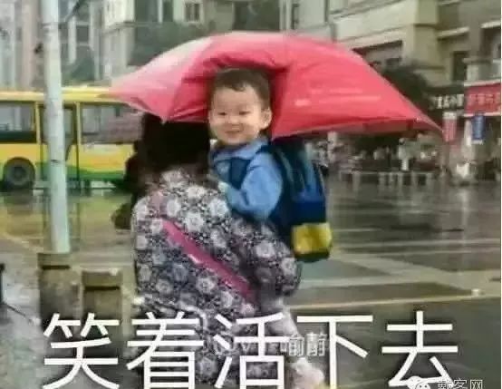 就在刚刚，传来一份近千万西安人的年度总结，内容过于真实……