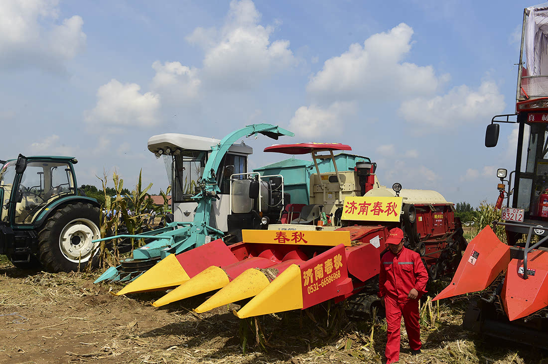 农村土地经营模式改革探讨,深化农村土地改革的政策与策略
