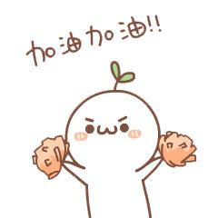 镇海区体育中考,镇海区中考体育项目