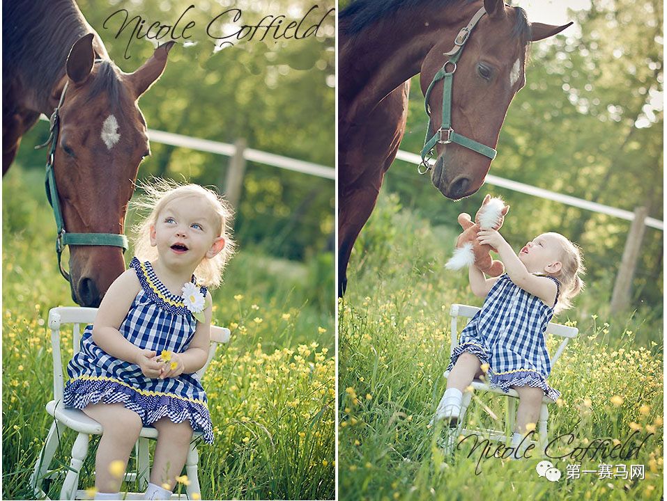 鬼马系列写真,马写真高清图片大全