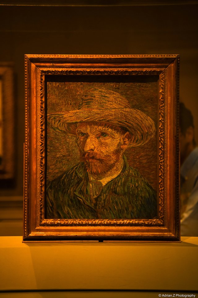 疯狂美国,疯狂美国完整视频