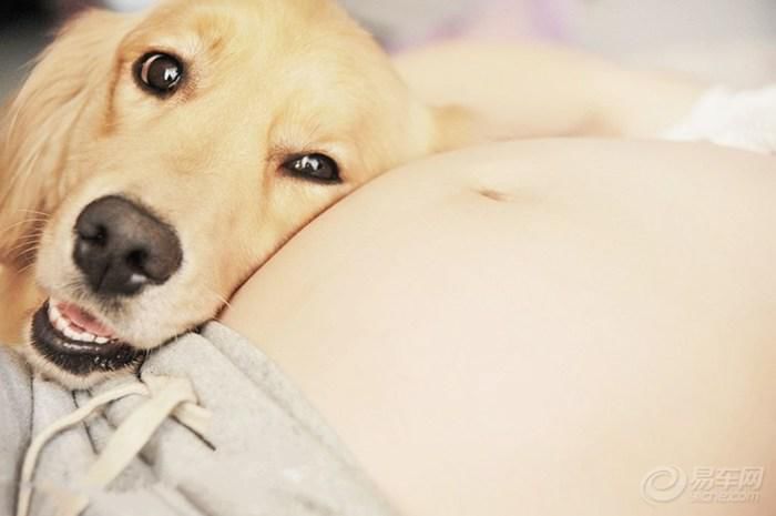 白文佩最新消息,白文佩擅长什么