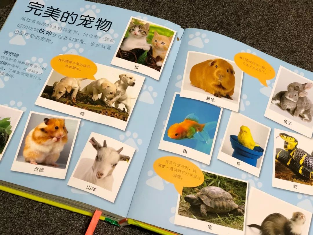 现在的孩子真是不知道怎么想的,现在的孩子真的是脑洞大开