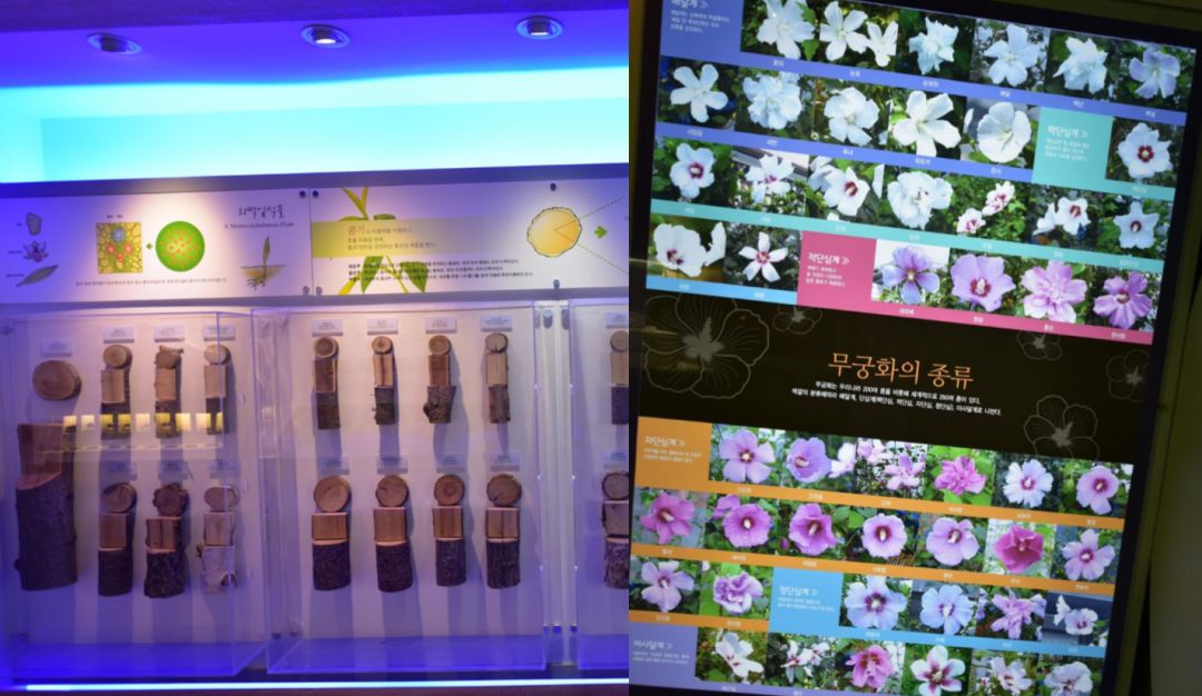 园林大讲堂｜清溪川：韩国人最引以为傲的生态改造项目