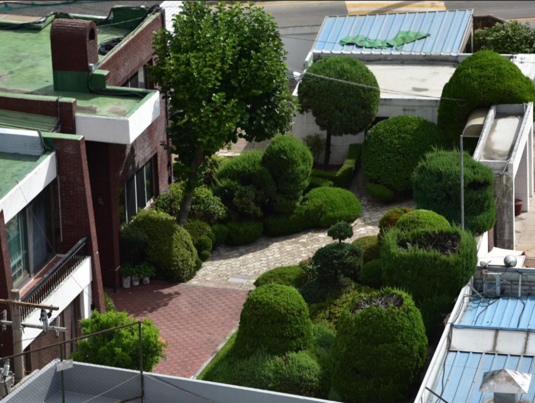 园林大讲堂｜清溪川：韩国人最引以为傲的生态改造项目