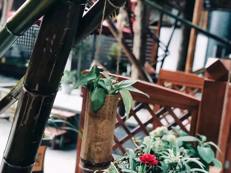 今日小寒一年中最冷的日子来了,今日小寒迎一年中最冷时间