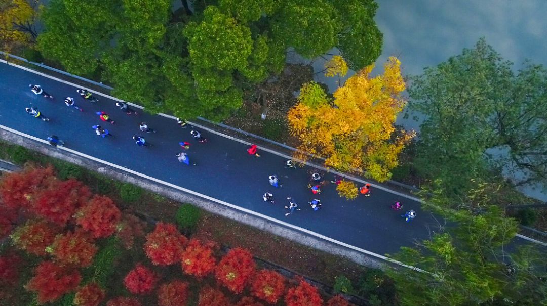 张抗抗故乡在远方视频,张抗抗眼中的哈尔滨