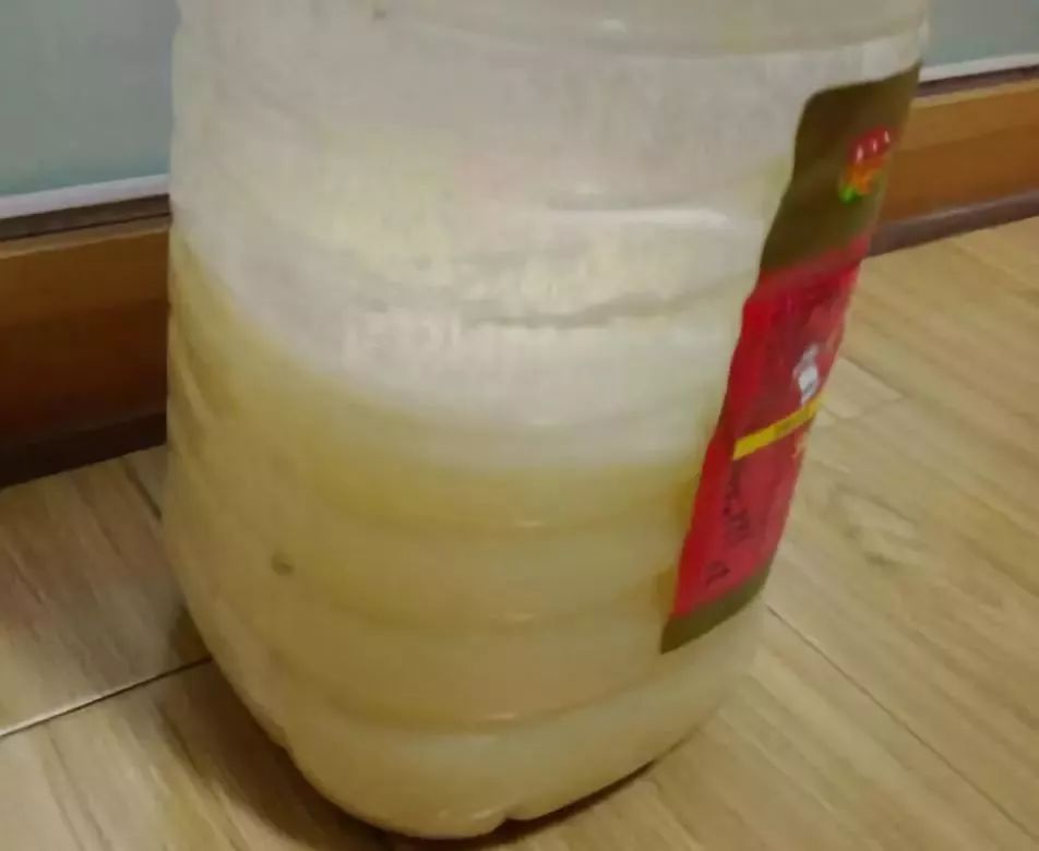 家里盆栽洋葱开花,洋葱盆栽开花