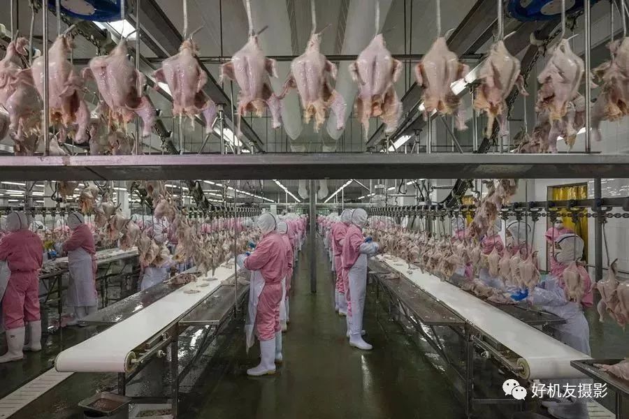 荷赛大奖作品,荷赛2022年获奖作品