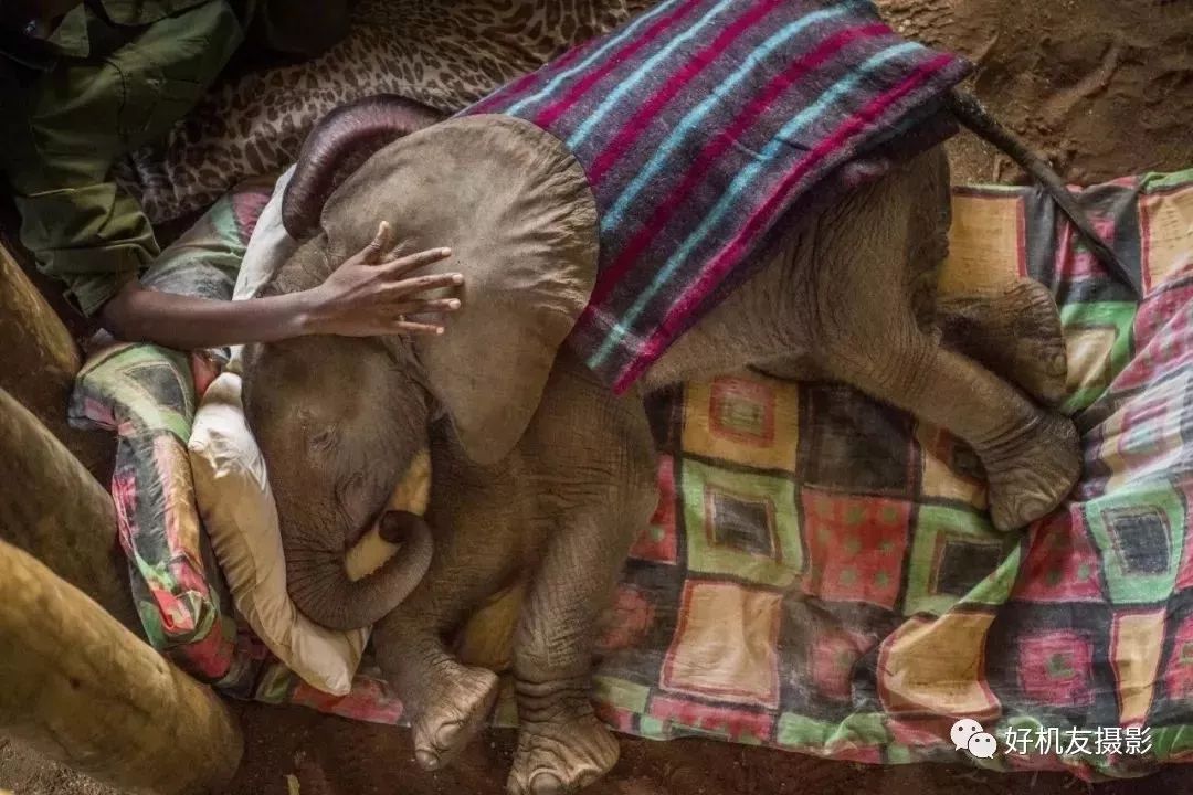 荷赛大奖作品,荷赛2022年获奖作品