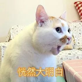 亚洲杯首战告捷，这样的大宝天天见—足球赛中的科学