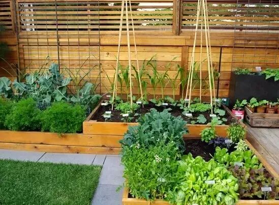 寻找一起做事志同道合的合伙人,找正能量的合伙人