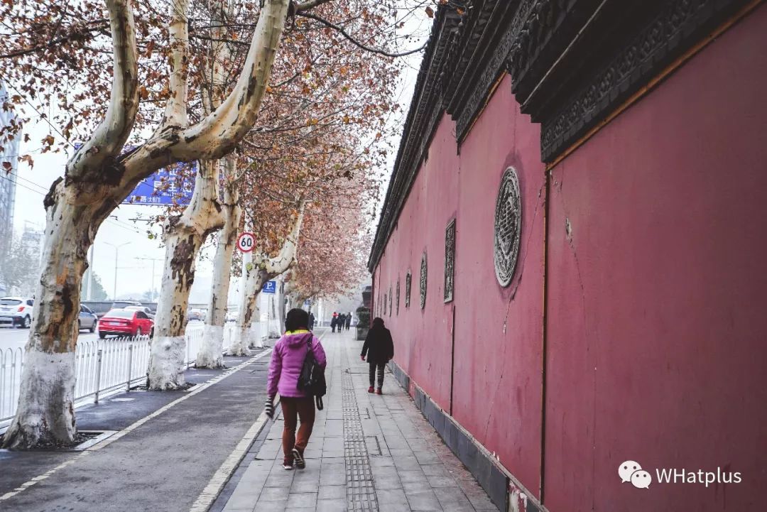 南普陀寺素菜馆推荐,观音山十大素菜馆