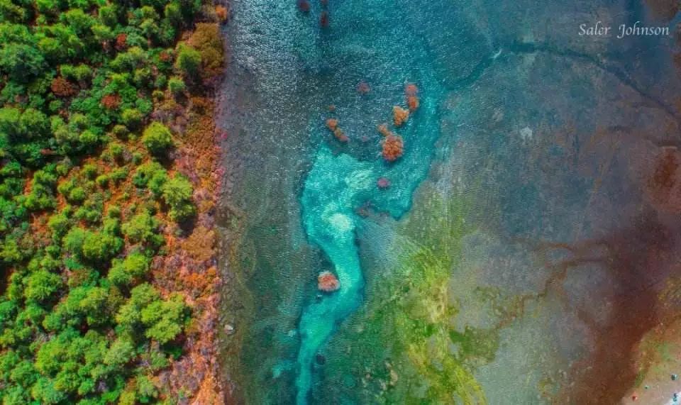 稻城最高的地方,最高级栖息地