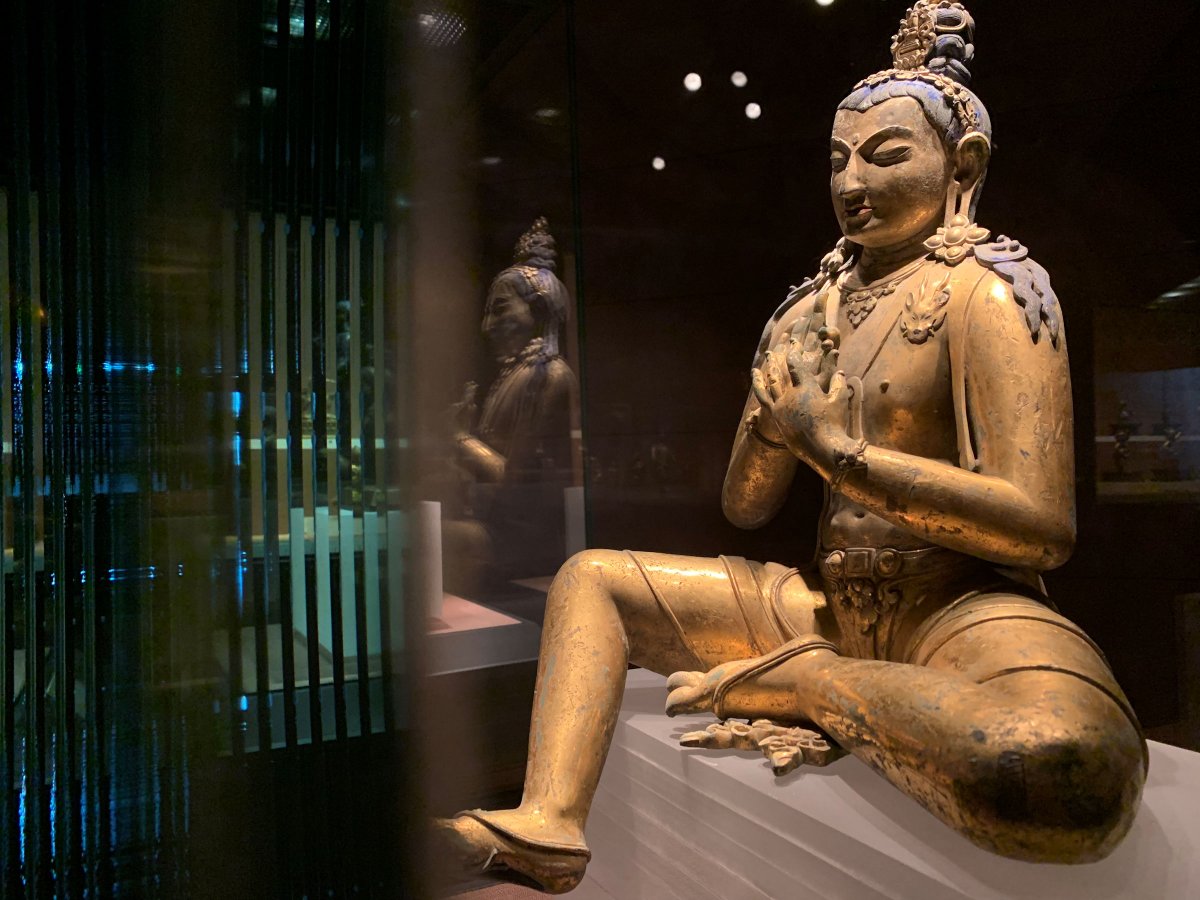 苹果xr主要是哪个摄像头拍照,苹果xr到苹果15前后置摄像头