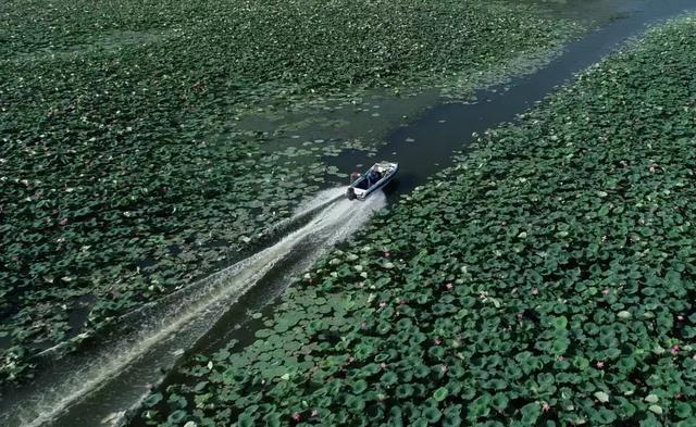 《中国改革报》聚焦洪湖变化透露出这些发展趋势