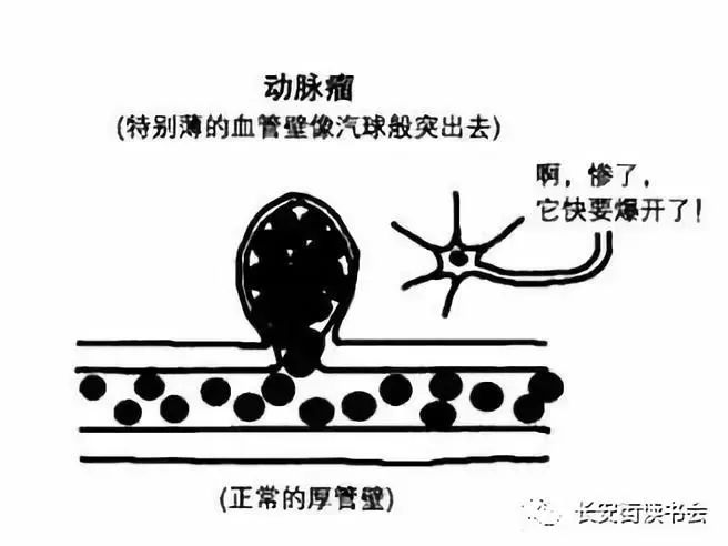 吉尔泰勒自述开悟经历,吉尔泰勒书籍