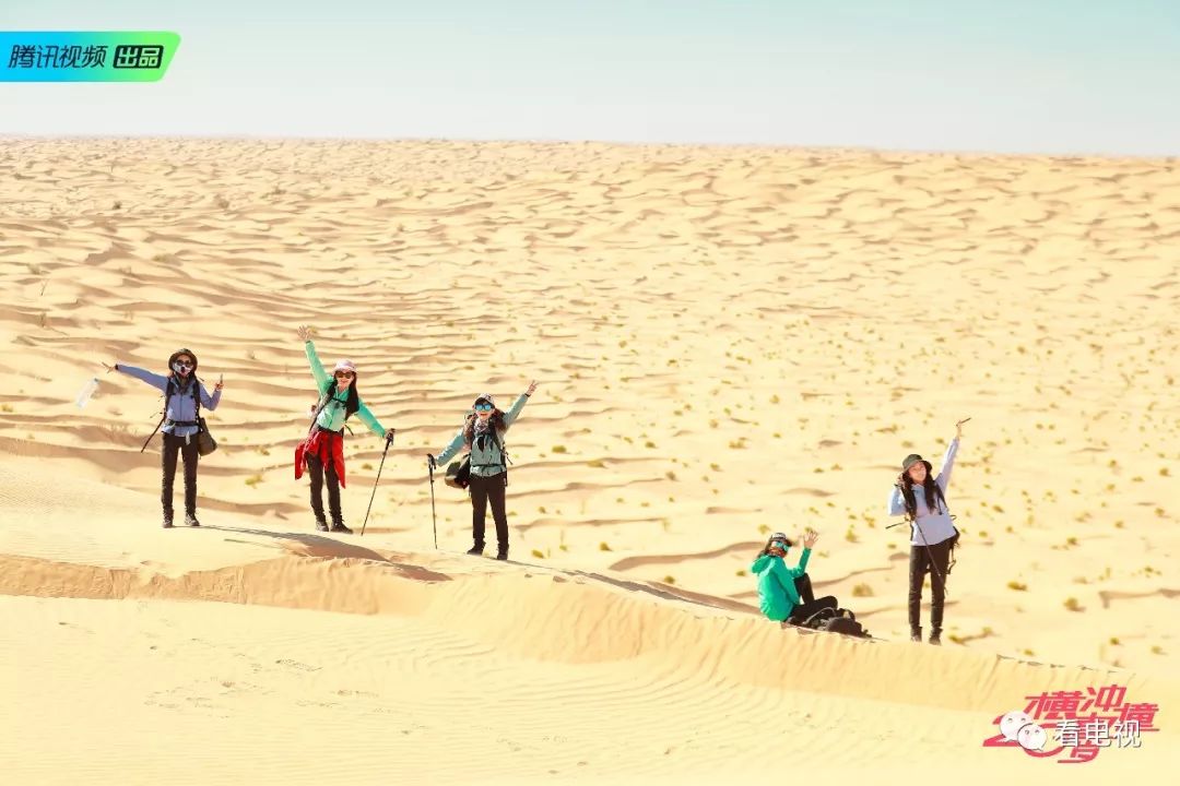 周末综艺看点｜《歌手》《大冰小将》开播，《梦想的声音》《野生厨房》收官