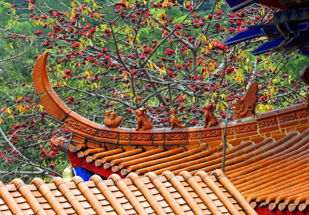 石岩离这里有多远,如今的石岩