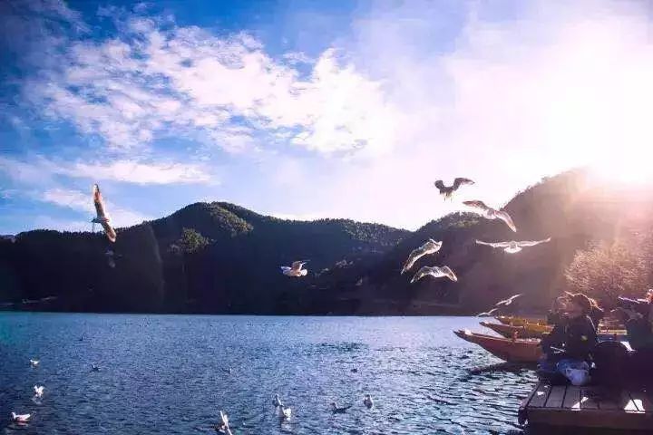 错过了你就错过了所有,这个冬天一点不要错过丽江