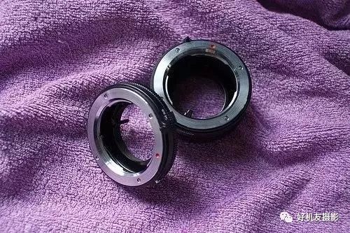 微距拍摄和自然微距有什么区别,微距镜头如何拍出好的微距照片