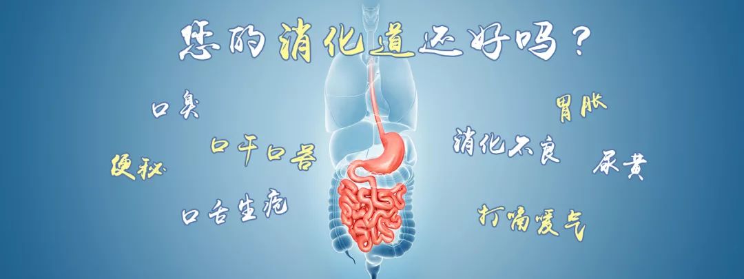 养生堂夏季养生全集,今天养生堂的药方